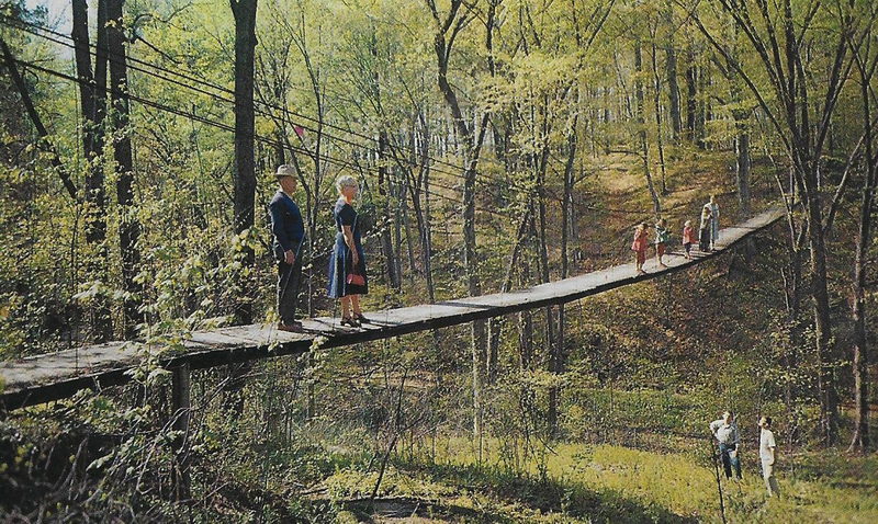 Pennellwood Resort - Vintage Postcard